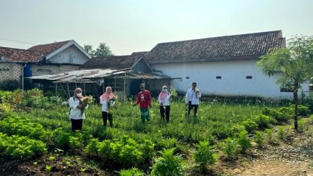 Peran Kelembagaan Sebagai Upaya Membantu Pemasaran Hasil Produksi Tanaman Florikultura