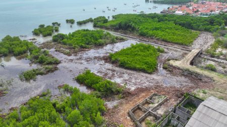 Peran Media Massa Dalam Perlindungan Lahan Mangrove di Desa Ambat, Kecamatan Tlanakan, Kabupaten Pamekasan