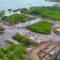 Kondisi lahan mangrove di Desa Ambat, Kecamatan Tlanakan, Kabupaten Pamekasan usai ditebang menggunakan alat berat. 