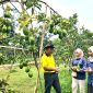 Kepala Dinkes Pamekasan dr. Saifuddin berbincang dengan kru Klik Madura di kebun alpukat Desa Tebul Barat, Kecamatan Pegantenan, Pamekasan, Madura.