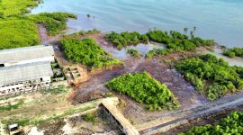 Foto udara lahan mangrove yang dibabat di Desa Ambat, Kecamatan Tlanakan, Kabupaten Pamekasan.