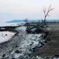 Kondisi bibir pantai Desa Lombang, Pulau Gili Raja, Kecamatan Pulau Gili Genting, Kabupaten Sumenep yang terkikis abrasi. (FOTO: SUDARSONO FOR KLIKMADURA)