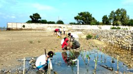 Sejumlah pengurus PD Pemuda Muhammadiyah Pamekasan dan anggota Pokmaswas Mekar Sari menanam mangrove di Desa Ambat, Kecamatan Tlanakan, Rabu (5/2/2025). (FOTO: PD PEMUDA MUHAMMADIYAH PAMEKASAN FOR KLIKMADURA)