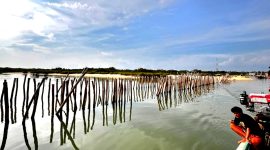 Nelayan melintas di sekitar pagar laut yang diduga dibangun atas peran PT. Budiono Madura Bangun Persada di Pantai Jumiang, tepatnya di Dusun Duko, Desa Tanjung, Kecamatan Pademawu, Pamekasan. (DOK. KLIKMADURA)