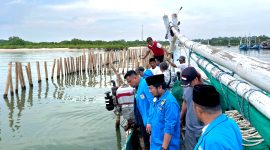Pengurus DPD KNPI Jawa Timur bersama nelayan mengecek pagar laut di sekitar Pantai Jumiang, tepatnya di Dusun Duko, Desa Tanjung, Kecamatan Pademawu, Pamekasan. (MOH. IQBALUL KHAVEI MZ / KLIKMADURA)