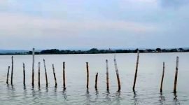 Penampakan pagar laut di Dusun Tapakerbau, Desa Gersik Putih, Kecamatan Gapura, Sumenep. (DOK. KLIKMADURA)