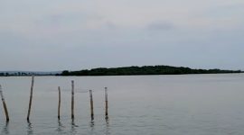 Penampakan pagar laut di Dusun Tapakerbau, Desa Gersik Putih, Kabupaten Sumenep, Madura, Jawa Timur.