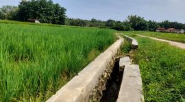 Penampakan saluran irigasi yang kondisinya rusak di Desa Kecer, Kecamatan Dasuk, Sumenep. (ZAINURRAHMAN / KLIKMADURA)