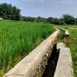 Penampakan saluran irigasi yang kondisinya rusak di Desa Kecer, Kecamatan Dasuk, Sumenep. (ZAINURRAHMAN / KLIKMADURA)