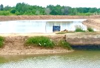 Tanah negara yang beralih fungsi menjadi tambak garam di Desa Majungan, Kecamatan Pademawu, Pamekasan, Madura, Jawa Timur. (DOK. KLIKMADURA)