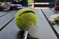 Penampakan bola tenis berisi barang mirip sabu yang ditemukan di Lapas Narkotika Pamekasan.