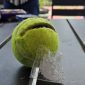 Penampakan bola tenis berisi barang mirip sabu yang ditemukan di Lapas Narkotika Pamekasan.