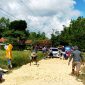 Sejumlah warga Desa Plampaan, Kecamatan Camplong saat melakukan perbaikan jalan poros kabupaten dengan cara swadaya.