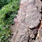 Kondisi jalan poros Desa Lepelle, Kecamatan Robatal retak parah akibat longsor. (DOK. KLIKMADURA)