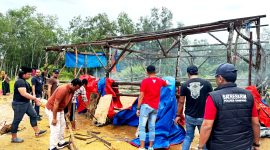 Personel Satreskrim Polres Sampang membongkar arena sabung ayam Dusun Mangar, Desa Batuporo, Kecamatan Kedungdung. (MUKSIN IKSAN / KLIKMADURA)