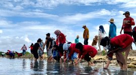 Warga dan para aktivis pecinta alam saat menanam bibit mangrove di Desa Majungan, Kecamatan Pademawu, Kabupaten Pamekasan. (MOH. IQBALUL KHAVEI MZ / KLIKMADURA)