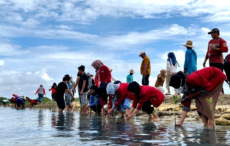 Warga dan para aktivis pecinta alam saat menanam bibit mangrove di Desa Majungan, Kecamatan Pademawu, Kabupaten Pamekasan. (MOH. IQBALUL KHAVEI MZ / KLIKMADURA)