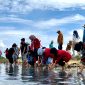 Warga dan para aktivis pecinta alam saat menanam bibit mangrove di Desa Majungan, Kecamatan Pademawu, Kabupaten Pamekasan. (MOH. IQBALUL KHAVEI MZ / KLIKMADURA)