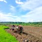 MASA TANAM: Petani membajak sawah di Desa Plakpak, Kecamatan Pengantenan, Pamekasan beberapa waktu lalu. (LAILIYATUN NURIYAH / KLIKMADURA)