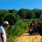 Warga berbondong-bondong memperbaiki jalan rusak penghubung antar kecamatan di Desa Campor, Kecamatan Proppo. (MUHTAR FOR KLIKMADURA)