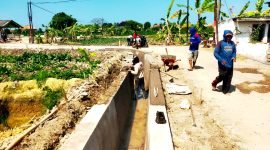 TERIK: Pekerja mengerjakan pembangunan saluran irigasi di Desa Jarin menuju Desa Pegagan, Kecamatan Pademawu, Pamekasan. (DINAS PUPR PAMEKASAN FOR KLIKMADURA)