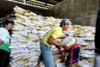 Warga mengangkut pupuk yang akan didistribusikan kepada poktan di Pamekasan. (MOH. IQBALUL KHAVEI MZ / KLIKMADURA)