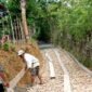 Warga Dusun Apal, Desa Angkatan, Kecamatan Arjasa, Sumenep memperbaiki jalan secara swadaya. (MONIR FOR KLIKMADURA)
