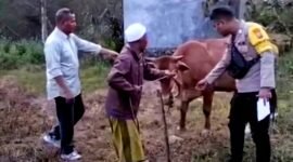 Warga dan polisi mengamankan sapi yang dicuri maling di semak-semak pinggiran sungai Dusun Bicabbih, Desa Ombul, Kecamatan Kedungdung. (ISTIMEWA)