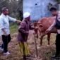 Warga dan polisi mengamankan sapi yang dicuri maling di semak-semak pinggiran sungai Dusun Bicabbih, Desa Ombul, Kecamatan Kedungdung. (ISTIMEWA)