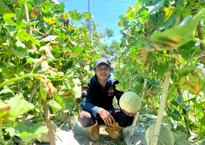 Ketua Pemuda Tani Indonesia (PTI) Pamekasan, Noer Kholis. (DOK. KLIKMADURA)