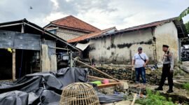 Personel Polres Pamekasan berada di lokasi penggerebekan judi sabung ayam di Desa Blaban, Kecamatan Batumarmar, Kabupaten Pamekasan. (POLRES PAMEKASAN KLIKMADURA)