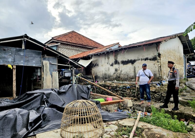 Personel Polres Pamekasan berada di lokasi penggerebekan judi sabung ayam di Desa Blaban, Kecamatan Batumarmar, Kabupaten Pamekasan. (POLRES PAMEKASAN KLIKMADURA)