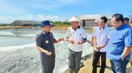 Wakil Bupati Pamekasan, H. Sukriyanto didampingi Kepala Dinas Perikanan (Diskan) Abdul Fatah dan Wakil Ketua DPRD Pamekasan, Ismail meninjau proses panen garam di Desa Majungan, Kecamatan Pademawu. (MOH. IQBALUL KHAVEI MZ / KLIKMADURA)