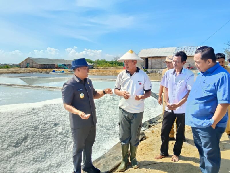 Wakil Bupati Pamekasan, H. Sukriyanto didampingi Kepala Dinas Perikanan (Diskan) Abdul Fatah dan Wakil Ketua DPRD Pamekasan, Ismail meninjau proses panen garam di Desa Majungan, Kecamatan Pademawu. (MOH. IQBALUL KHAVEI MZ / KLIKMADURA)