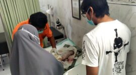 Tenaga kesehatan saat memeriksa kondisi bayi yang ditemukan di area pemakaman Desa Bulangan Barat, Kecamatan Pegantenan, Pamekasan. (POLRES PAMEKASAN UNTUK KLIKMADURA)