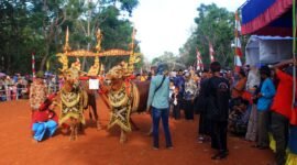 Sepasang sapi berada di lapangan bersiap mengikuti karapan sapi hias. (DOK. KLIKMADURA)
