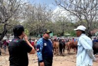 Sekretaris Komisi II DPRD Sampang, Muh. Nur Mustakim berbincang dengan pedagang di Pasar Sapi Ketapang. (MUKSIN IKSAN / KLIKMADURA)