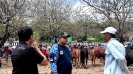 Sekretaris Komisi II DPRD Sampang, Muh. Nur Mustakim berbincang dengan pedagang di Pasar Sapi Ketapang. (MUKSIN IKSAN / KLIKMADURA)
