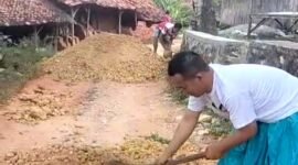 Warga Desa Gunung Kesan, Kecamatan Karang Penang, Sampang saat memperbaiki jalan dengan swadaya. (ISTIMEWA)