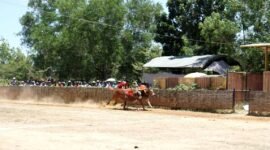 TERIK: Sepasang karapan sapi dipacu di Lapangan Murtajih, Pamekasan saat seleksi Piala Presiden tingkat kabupaten beberapa waktu lalu. (YUSRIL/KLIK MADURA)