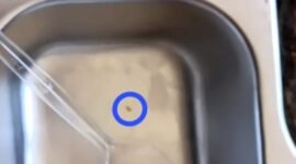 Foto diduga belatung berada di tempat makan MBG jatah SMP Islam Darut Tauhid, Desa Gunung Kesan, Kecamatan Karang Penang, Sampang. (ISTIMEWA)