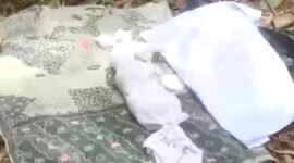 Gambar jenazah bayi yang ditemukan di area pemakaman Desa Bulangan Barat, Kecamatan Pegantenan, Pamekasan terbungkus kain kafan. (ISTIMEWA)