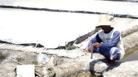 Sarip, petani garam di Desa Polagan mengukur tingkat salinitas. (ILHAM / KLIKMADURA)