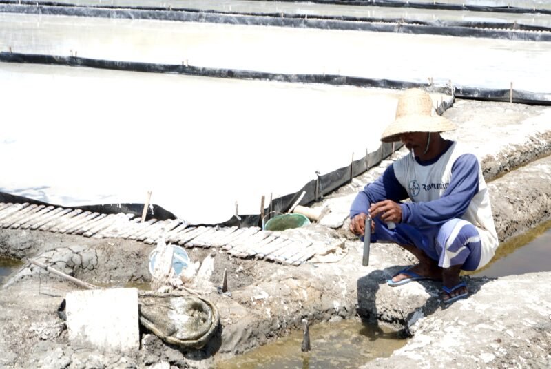 Sarip, petani garam di Desa Polagan mengukur tingkat salinitas. (ILHAM / KLIKMADURA)