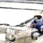 Sarip, petani garam di Desa Polagan mengukur tingkat salinitas. (ILHAM / KLIKMADURA)