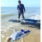 Jenazah lansia saat ditemukan di Pantai The Legend, Desa Padelegan, Kecamatan Pademawu, Pamekasan. (ISTIMEWA)