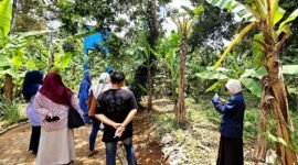 Tim Pengabdian Kepada Masyarakat (PKM) UIN Madura menggelar pelatihan di Kecamatan Pegantenan, Pamekasan. (KLIKMADURA)