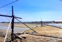 Lahan garam di Kecamatan Pademawu, Kabupaten Pamekasan. (MOH. IQBALUL KHAVEI MZ / KLIKMADURA)