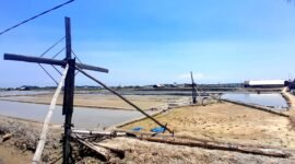 Lahan garam di Kecamatan Pademawu, Kabupaten Pamekasan. (MOH. IQBALUL KHAVEI MZ / KLIKMADURA)