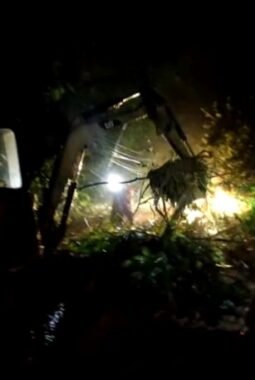 berita-rekomendasi-foto